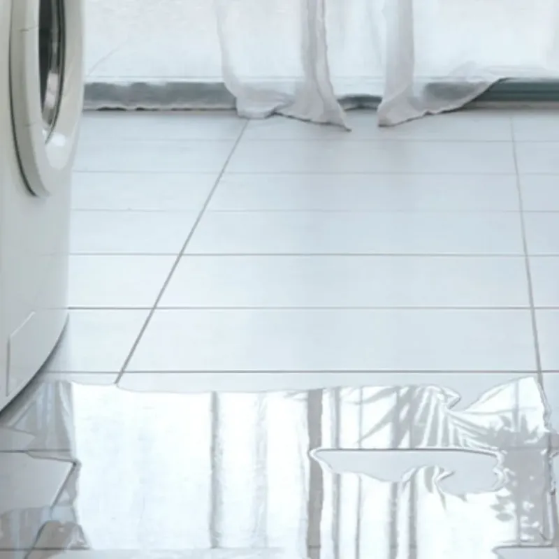 Appliance Leak Cleanup in Dunlap, OH