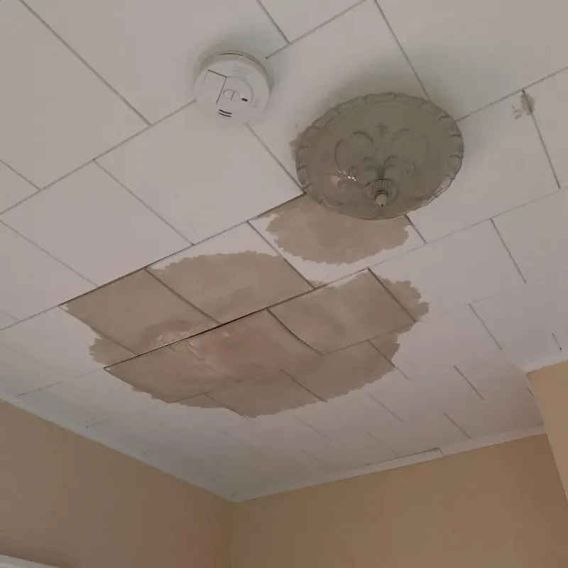 Ceiling Water Damage Repair in Dunlap, OH