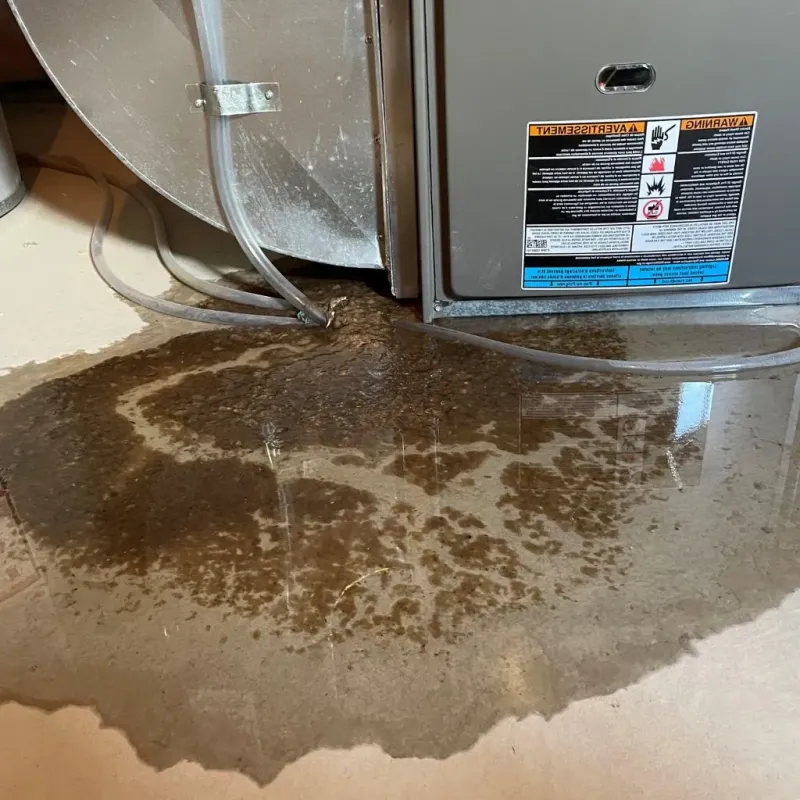 Pipe Burst and Leak Restoration in Dunlap, OH