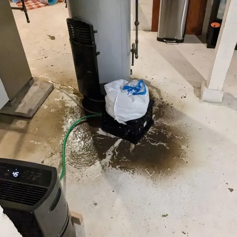 Sewage Backup Cleanup Service in Dunlap, OH